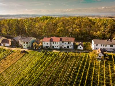 Ferienhaus für 4 Personen (50 m²) in Eisenberg an der Pinka 6/10