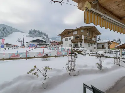 GardenWinter
