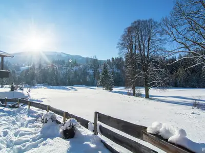GardenWinter