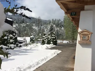 GardenWinter