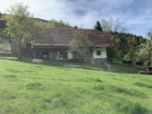 23909725-Ferienhaus-8-Elzach-300x225-5