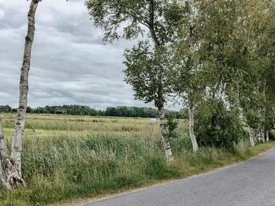 Ferienhaus für 6 Personen (105 m²) in Emden 4/10
