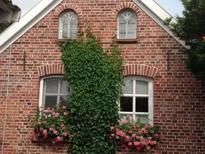 Ferienhaus für 4 Personen (70 m²) in Emden 1/10