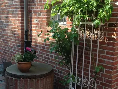 Ferienhaus für 4 Personen (70 m²) in Emden 6/10