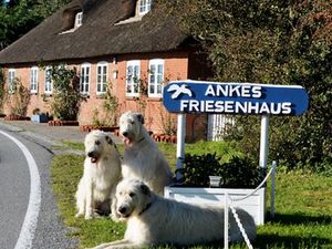 Ferienhaus für 4 Personen in Emmelsbüll-Horsbüll