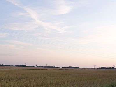 Freier Blick aufs Feld