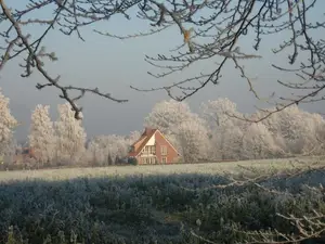 Ferienhaus für 12 Personen (190 m²) in Emsbüren