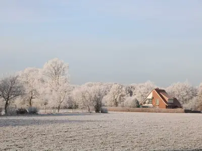 Ferienhaus für 12 Personen (190 m²) in Emsbüren 6/10