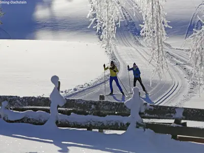 AreaWinter5KM