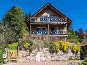 Ferienhaus für 16 Personen (160 m&sup2;) in Enzklösterle