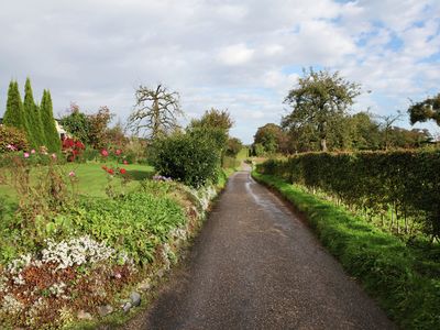 GardenSummer