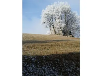 Natur