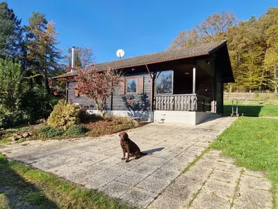 Ferienhaus für 5 Personen (40 m²) in Erbach 2/10