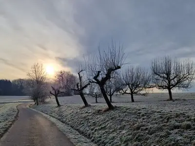 Ferienhaus für 5 Personen (40 m²) in Erbach 2/10