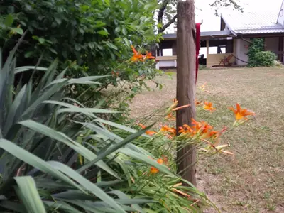 Outdoor