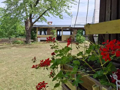 Outdoor