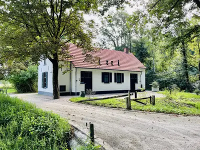 Außenseite Ferienhaus [Sommer]