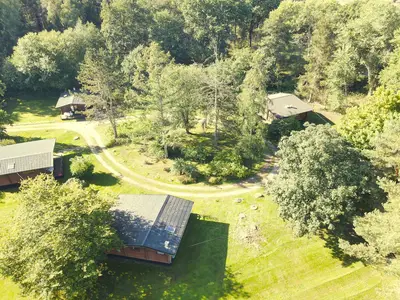 ViewSummer