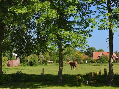 Ferienhaus für 5 Personen (70 m²) in Esens 3/10