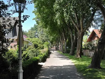 Ferienhaus für 7 Personen (110 m²) in Esens 7/10