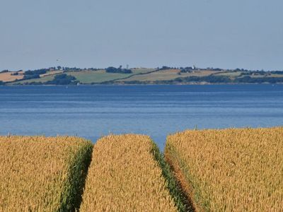 Ferienhaus für 8 Personen (120 m²) in Esgrus 6/10