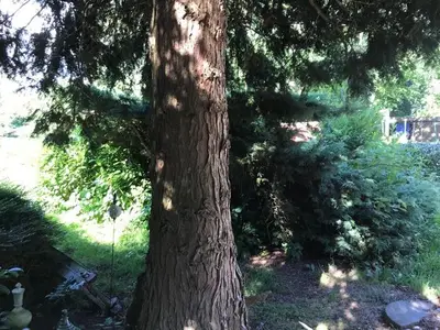 Ferienhaus für 8 Personen (120 m²) in Esgrus 9/10