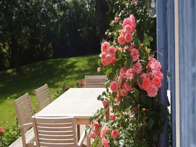 Ferienhaus für 4 Personen (120 m²) in Esgrus 7/10