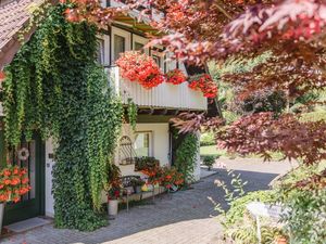 Ferienhaus für 4 Personen (60 m²) in Eslohe