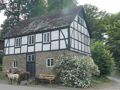 Ferienhaus für 6 Personen in Eslohe 5/10