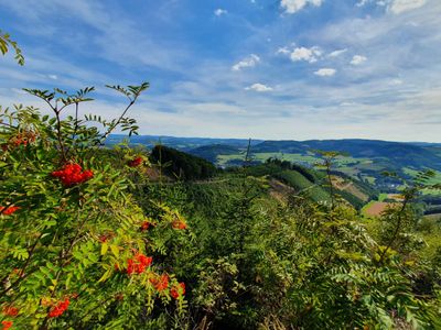 Ferienhaus für 6 Personen in Eslohe 8/10