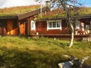 Ferienhaus für 9 Personen (87 m²) in Etnedal