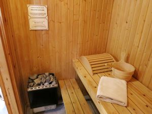 Sauna (hat jedes Haus)