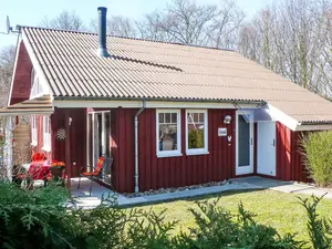Ferienhaus für 5 Personen (70 m²) in Extertal