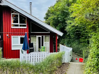 Ferienhaus für 5 Personen (74 m²) in Extertal 3/10