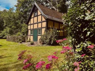 Ferienhaus für 3 Personen (60 m²) in Eydelstedt 1/10