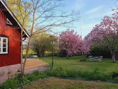 Outdoor