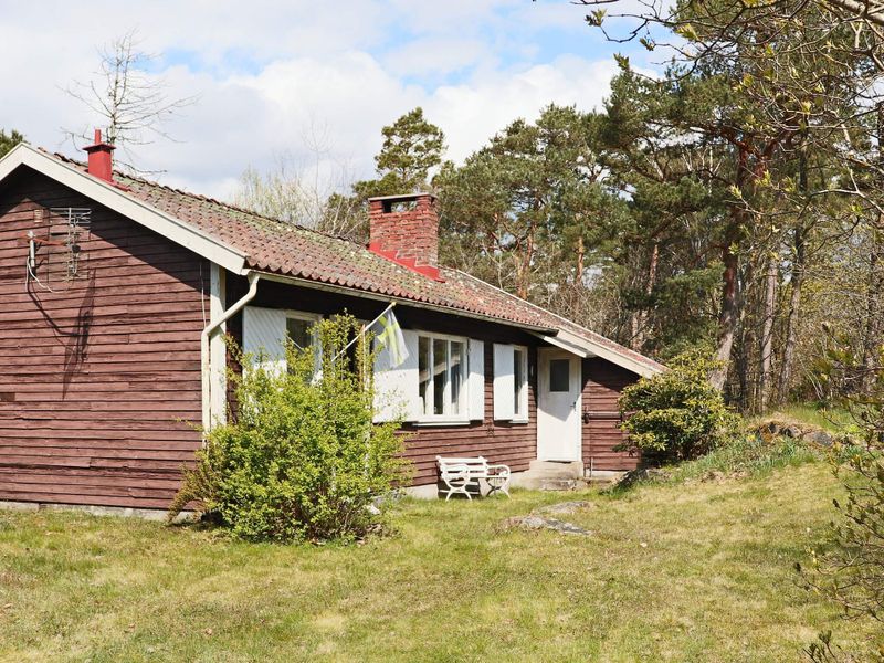 23997555-Ferienhaus-5-Falkenberg-800x600-0