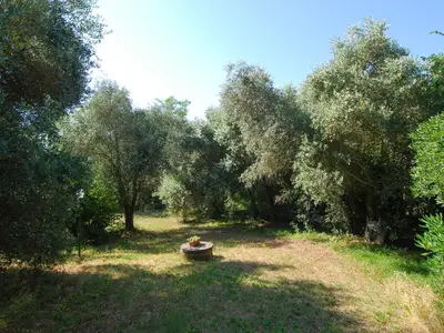 outside