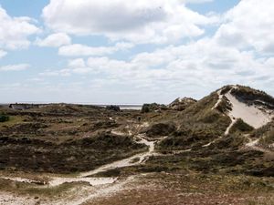 19320158-Ferienhaus-10-Fanø-300x225-1