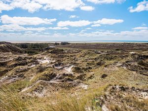 19320160-Ferienhaus-12-Fanø-300x225-1