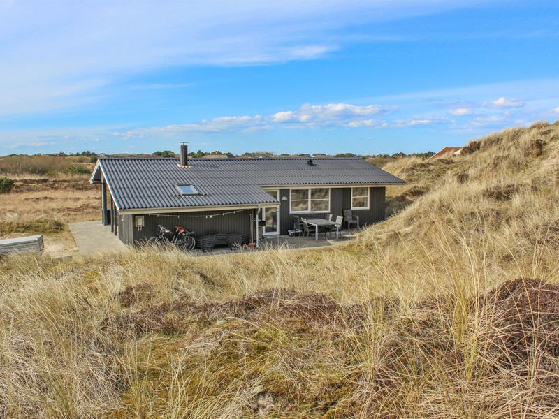 23863462-Ferienhaus-6-Fanø-800x600-2