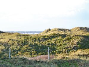 23719404-Ferienhaus-6-Fanø-300x225-3