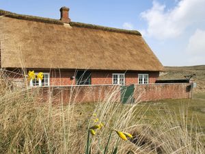 23863556-Ferienhaus-5-Fanø-300x225-5