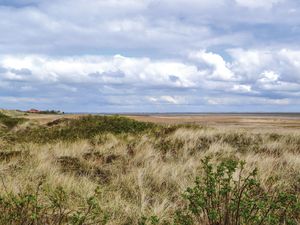 23720575-Ferienhaus-6-Fanø-300x225-3