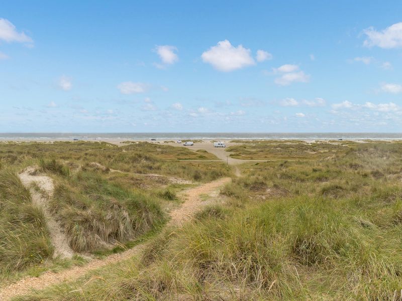 23719453-Ferienhaus-6-Fanø-800x600-1