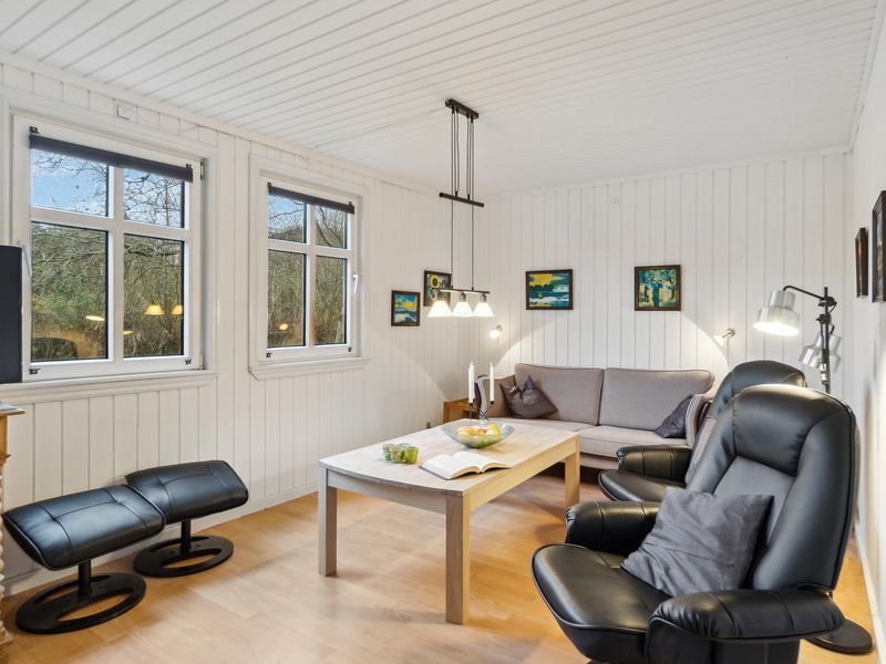 23824321-Ferienhaus-4-Fanø-800x600-2