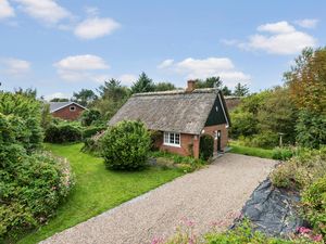 Ferienhaus für 2 Personen (66 m&sup2;) in Fanø