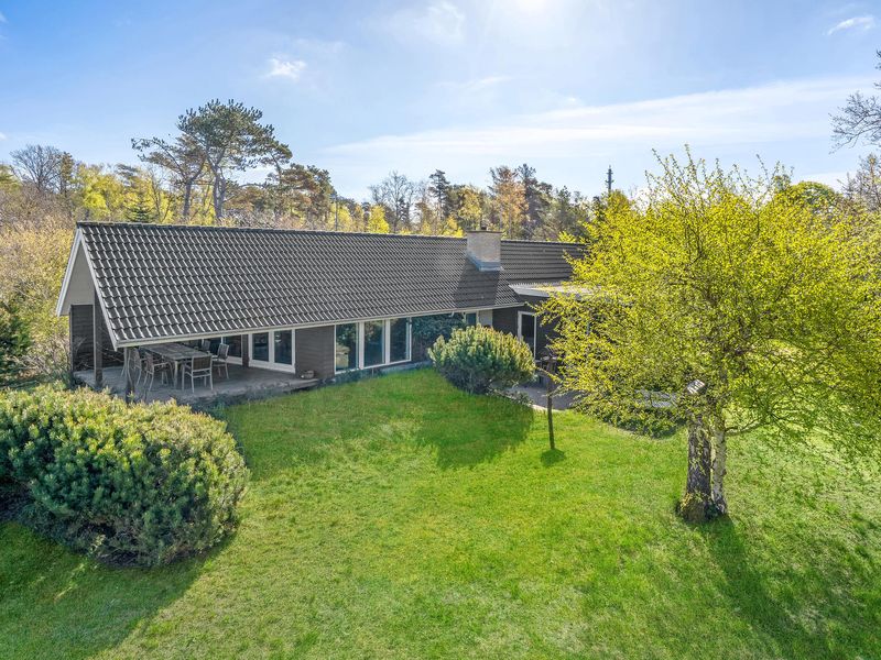 23749317-Ferienhaus-8-Fårevejle-800x600-0