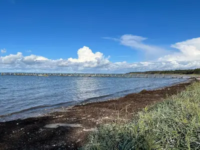 WaterView