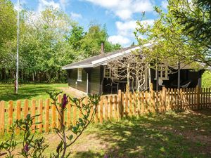 Ferienhaus für 6 Personen (50 m²) in Fårvang